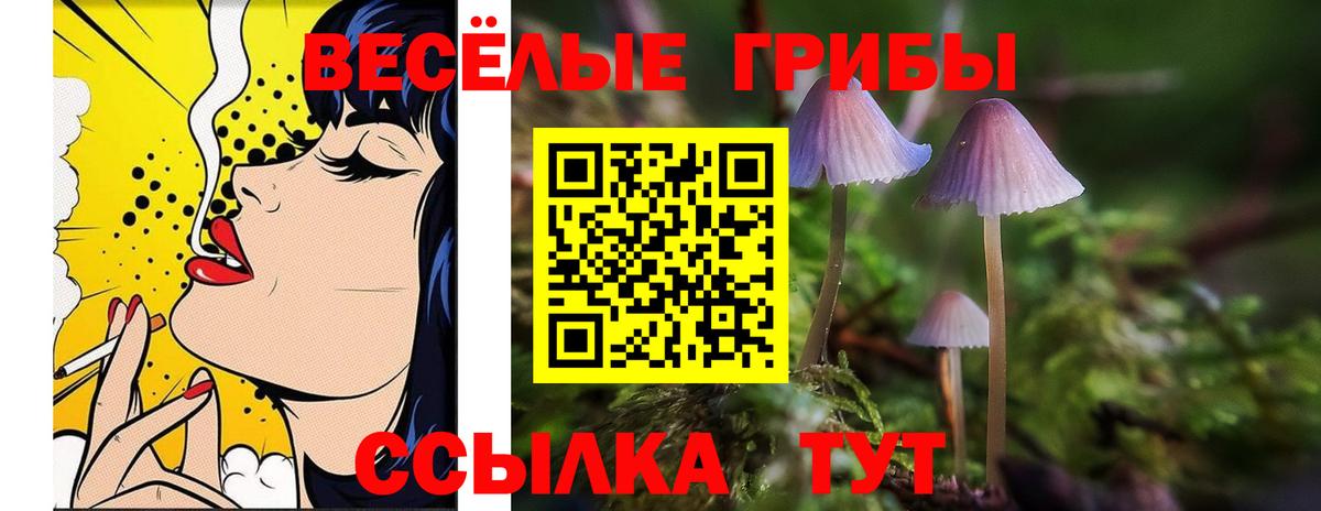 Галлюциногенные грибы мицелий  Псилоцибиновые грибы Cubensis  Янаул  наркота  Вход с VPN 