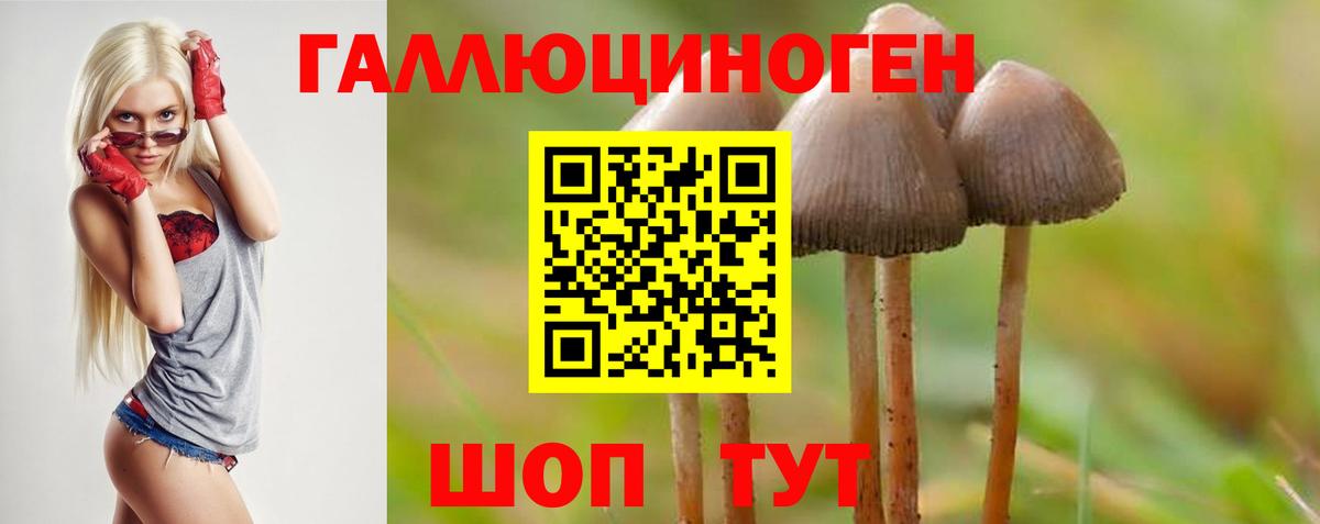 Псилоцибиновые грибы ЛСД Янаул